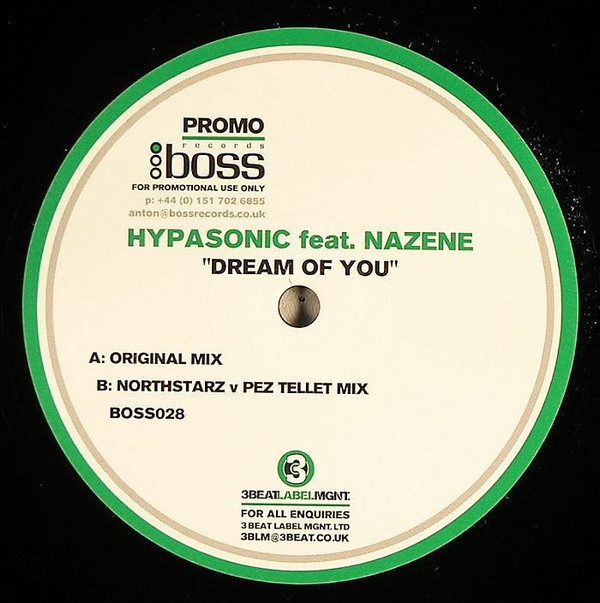 ladda ner album Hypasonic Feat Nazene - Dream Of You