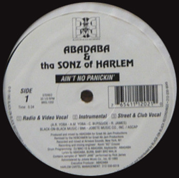 Abadaba & Tha Sonz Of Harlem – Ain't No Panickin' / Burnin' Down