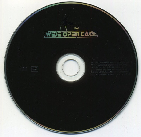 descargar álbum Wide Open Cage - Arranger After