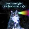 Quantum Universe - Inside The Mind Of A Psychedelic Cat