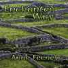 Anne Feeney - Enchanted Way