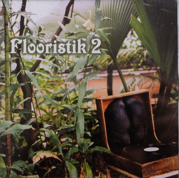 descargar álbum Various - Flooristik 2