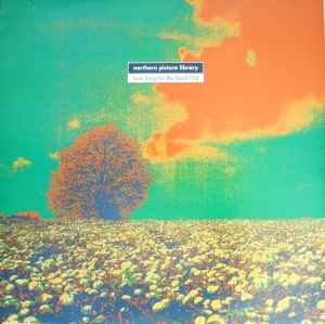 Northern Picture Library – Blue Dissolve (1994, Vinyl) - Discogs