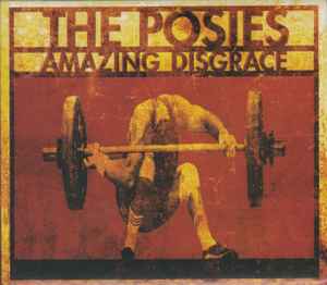 The Posies - Amazing Disgrace album cover