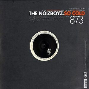 descargar álbum The Noyzboyz - So cold