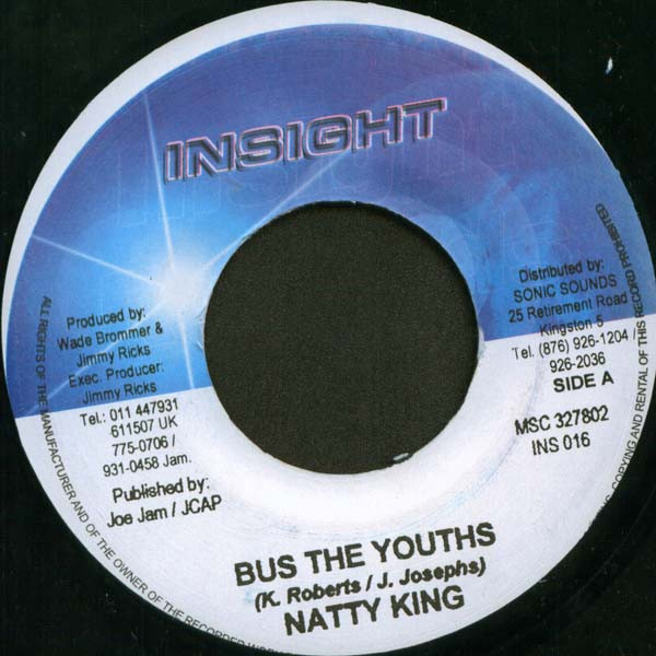 descargar álbum Natty King - Bus The Youths