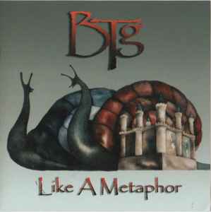 Bartron Tyler Group - Like A Metaphor album cover