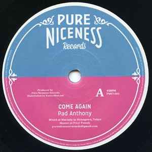 Pad Anthony – Come Again (2015, Vinyl) - Discogs