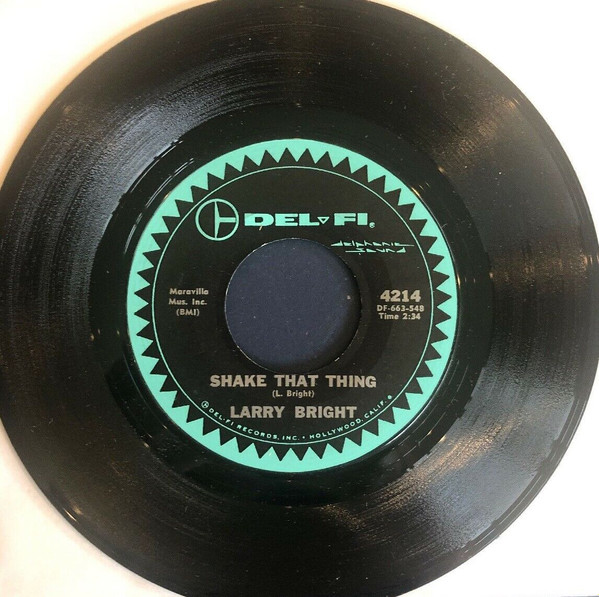 ladda ner album Larry Bright - Shake That Thing