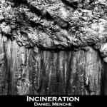 Cover of Incineration, 2012, File
