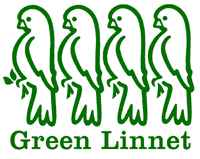 Green Linnet image