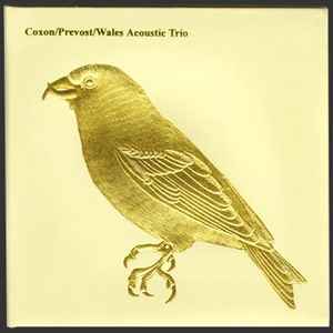 Acoustic Trio - Coxon / Prevost / Wales