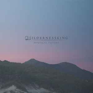 Wildernessking - Mystical Future album cover