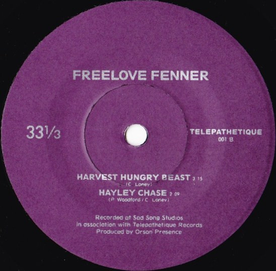 télécharger l'album There Were Valleys Freelove Fenner - Denver