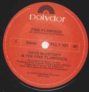 Dave McArtney & The Pink Flamingos - Pink Flamingo album cover