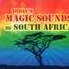 Various - Today's Magic Sounds Of South Africa