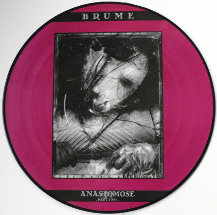 baixar álbum Brume - Anastomose