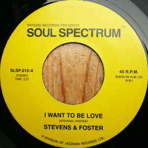 I Want To Be Love / What Would I Have (If I Didn't Have You) - Stevens & Foster