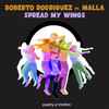 Roberto Rodriguez ft. Malla* - Spread My Wings