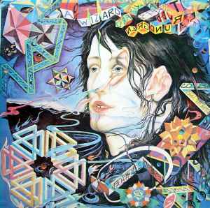 Todd Rundgren – A Wizard, A True Star (Vinyl) - Discogs