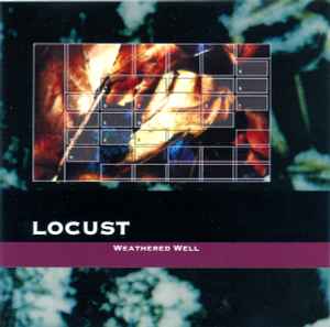 Weathered Well - Locust