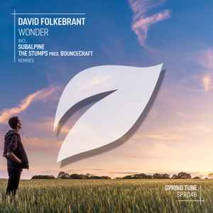 David Folkebrant - Wonder album cover