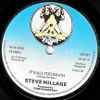 Steve Hillage - It's All Too Much