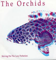 descargar álbum Orchids, The - Striving for the Lazy Perfection