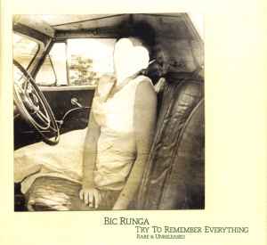 Try To Remember Everything - Bic Runga