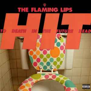 The Flaming Lips – Hit To Death In The Future Head (2011, Vinyl 