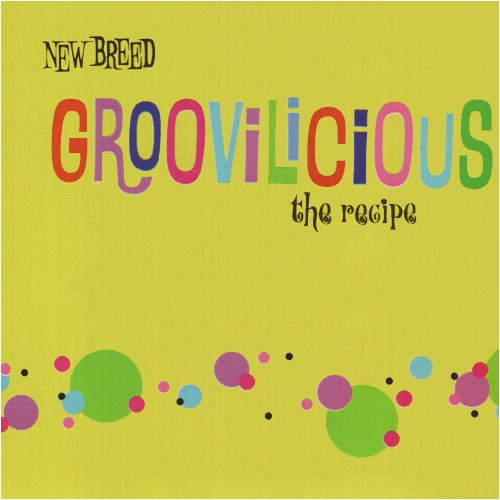last ned album Groovilicious - The Recipe