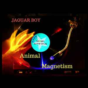 Jaguar Boy - Animal Magnetism album cover