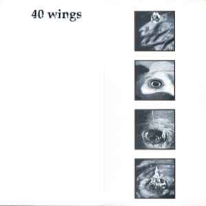 Various - 40 Wings album cover