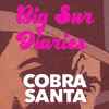 Cobra Santa - Big Sur Diaries