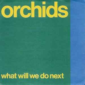 What Will We Do Next? - The Orchids