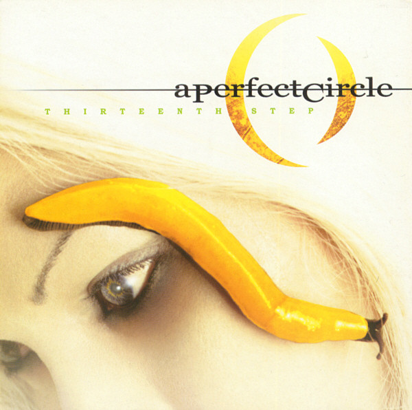 A Perfect Circle – Thirteenth Step (2003, CD) - Discogs