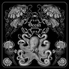 The Ocean (2) - Fluxion / Aeolian