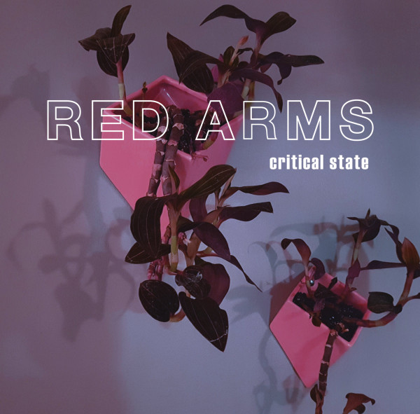 ladda ner album Red Arms - Critical State