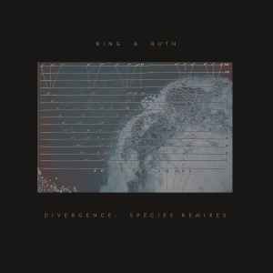 Bing And Ruth - Divergence: Species Remixes album cover