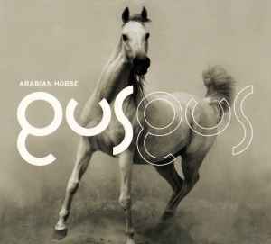 Gusgus - Arabian Horse