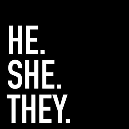 HE.SHE.THEY. image