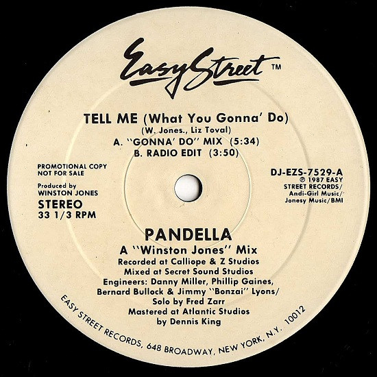 Pandella – Tell Me (What You Gonna' Do) (1987, Vinyl) - Discogs