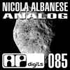 Nicola Albanese - Analog