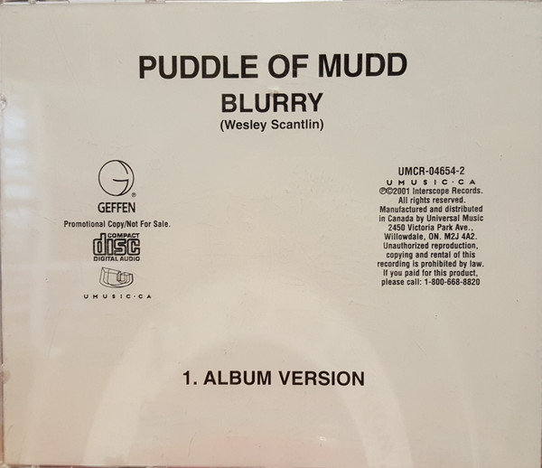 puddle of mudd blurry