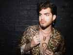 baixar álbum Adam Lambert - For Your Entertainment Glam Box