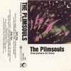 The Plimsouls - Everywhere At Once