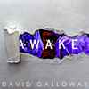 David Galloway - Awake