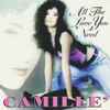 Camille'* - All The Love You Need