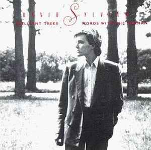 David Sylvian - Brilliant Trees / Words With The Shaman album cover
