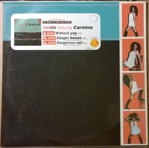 lataa albumi Don Cu feat Carmina - Without You